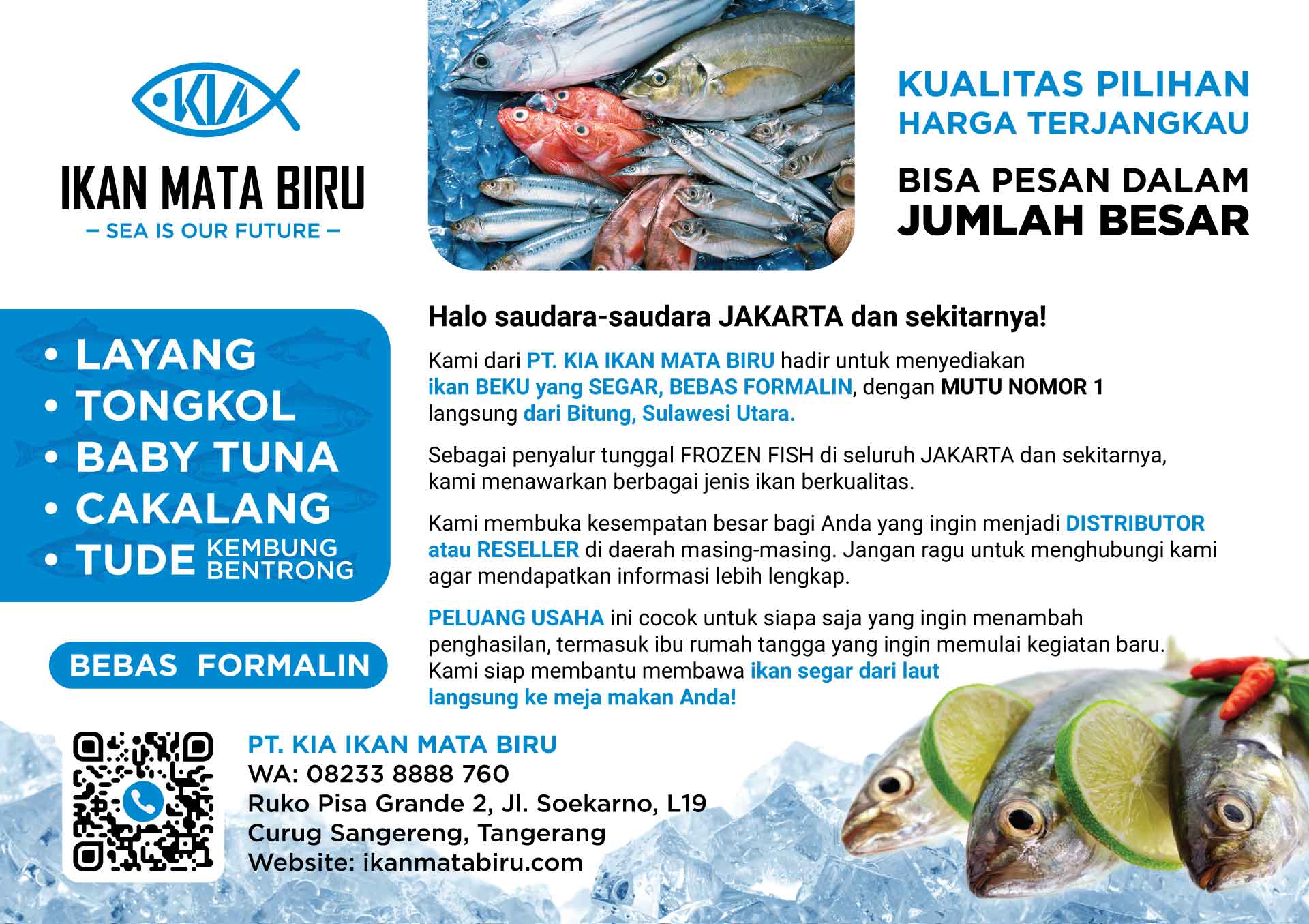Beli ikan frozen Jakarta, Tangerang, Grosir
